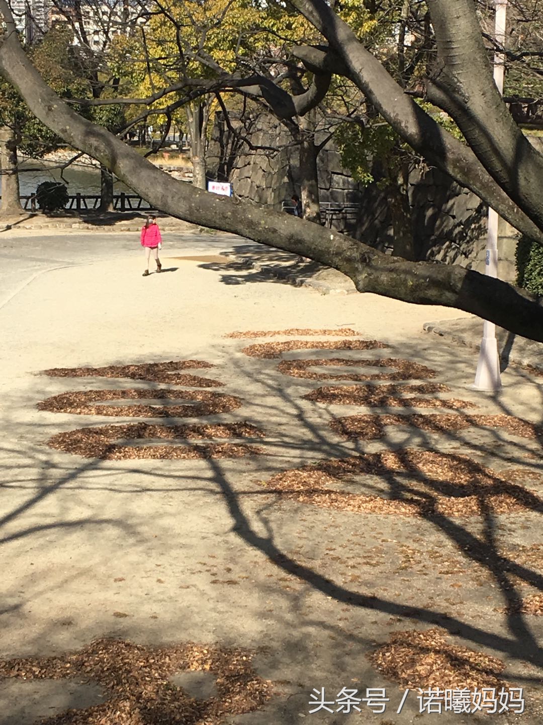 二胎妈妈带俩娃日本自由行，一路乌龙一路歌