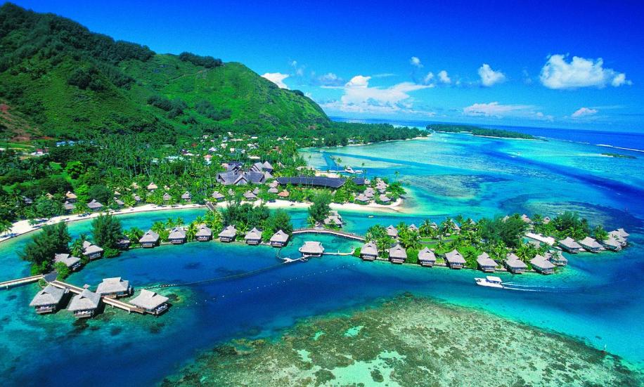 温馨提示一年一度的情人节到了,情人节重要提示