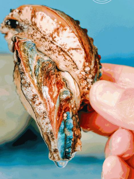 魔都最漂亮的公交,魔都最好吃的小吃一条街