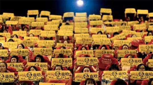 楣挎櫁鍜岃姦鑻囩殑涓冨勾涔嬬害,鑺﹁媷鍜岄箍鏅楃殑缁忓巻