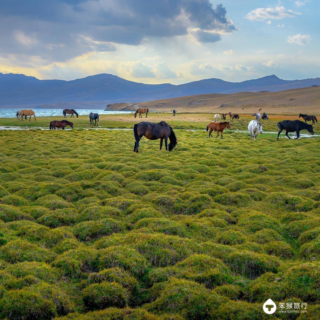 这里曾是中国领土，被誉为「中亚瑞士」，游客3天拿到电子签
