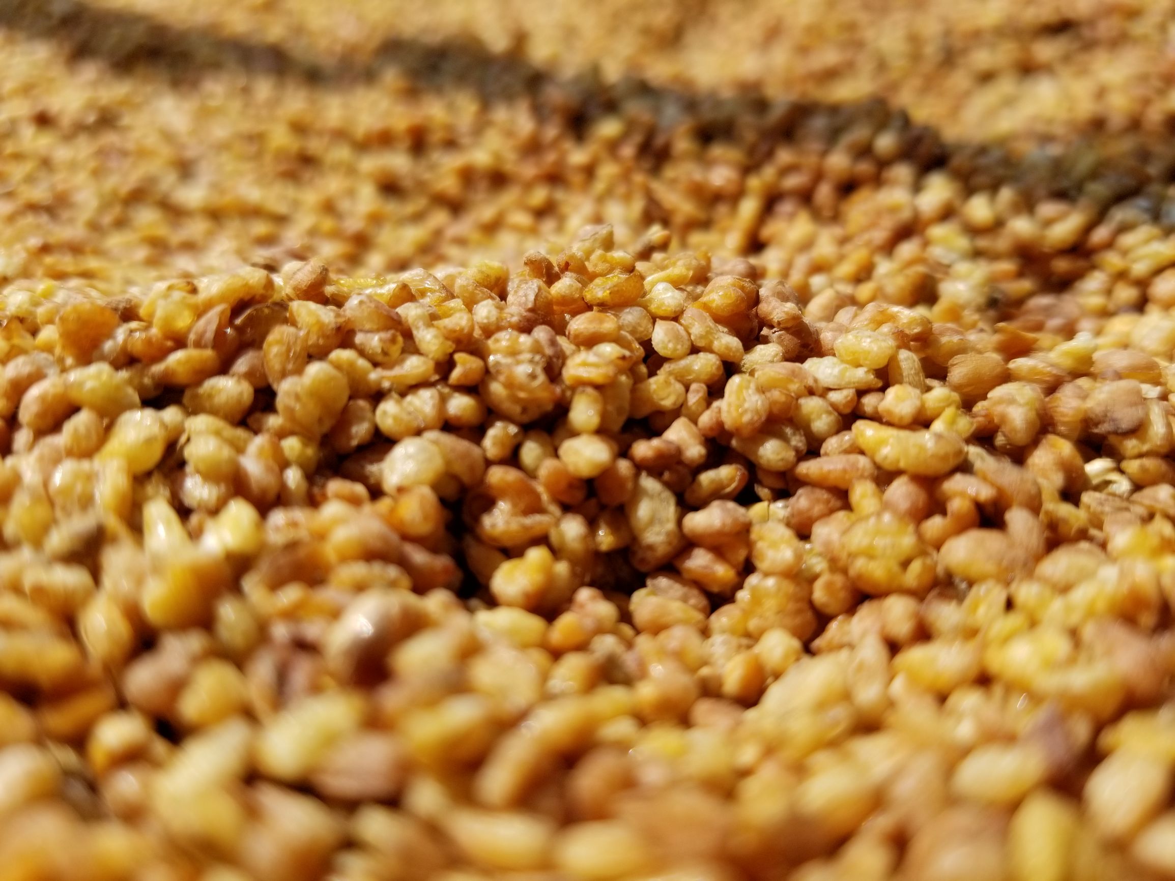 三星note8详细配置使用体验,三个月体验报告三星