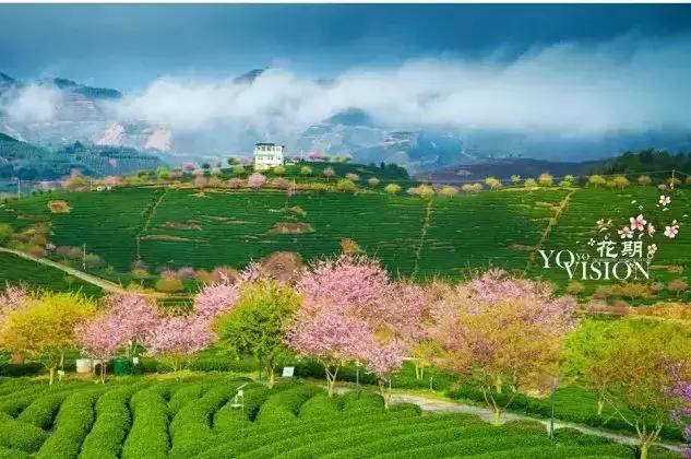 国内风景最好的旅游景点冬天,国内各地最美的十大自驾游线路