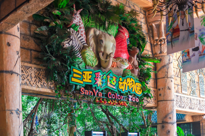 面面旅拍—诉不完千古泪，道不停三亚情，这个冬天我们掌心有太阳