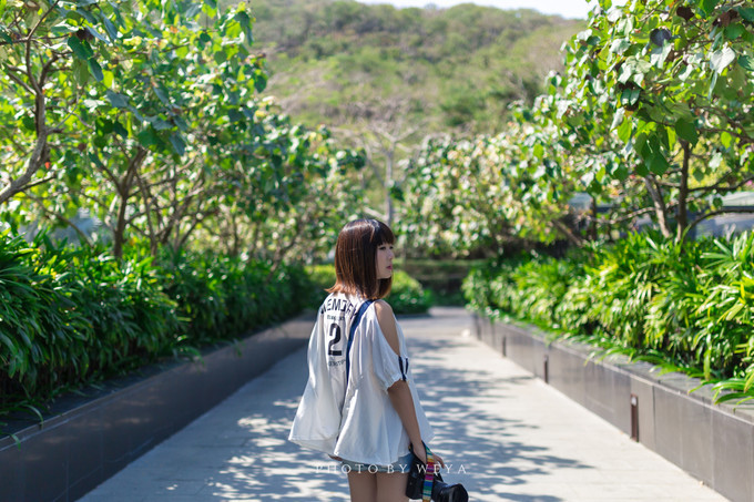 面面旅拍—诉不完千古泪，道不停三亚情，这个冬天我们掌心有太阳