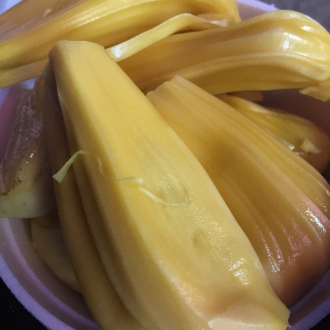 初次带着爸妈去旅行海南三亚-海口六日随心游