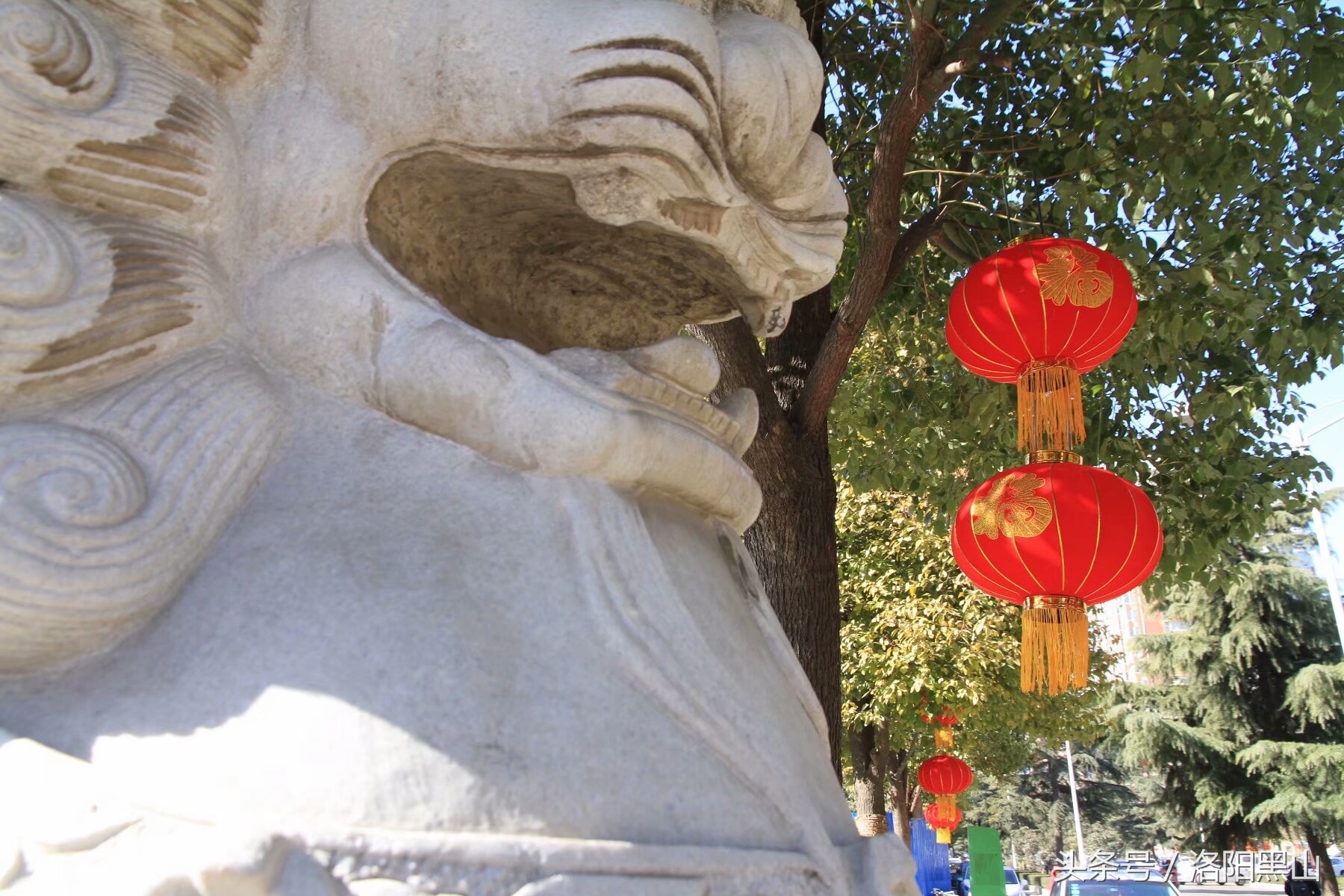 宜阳灯笼,宜阳元宵挂灯