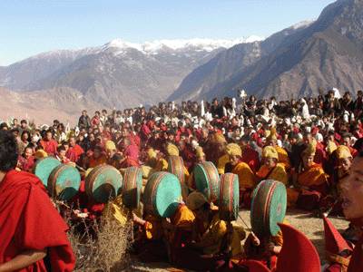 舍利子到底是正品吗,在网上买舍利子是真的还是假的