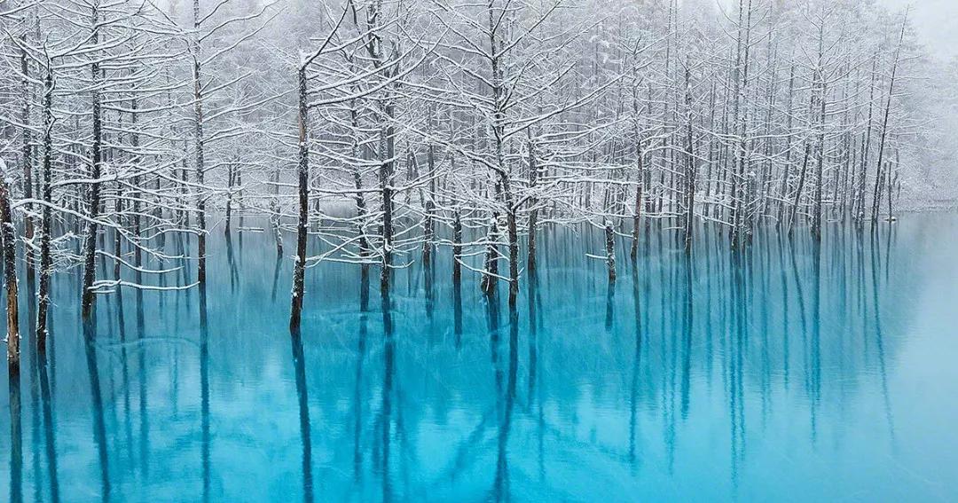 温馨提示一年一度的情人节到了,情人节重要提示