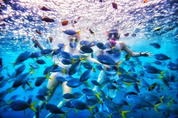 温馨提示一年一度的情人节到了,情人节重要提示