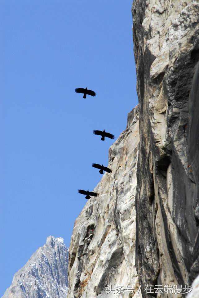 海螺沟燕子沟旅游记,燕子沟看贡嘎雪山的地方