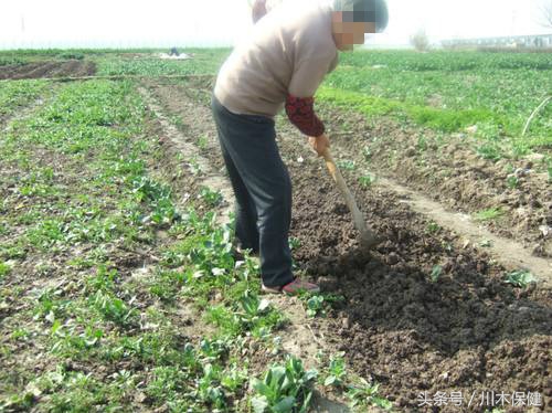 老人站不直腿不能坐,老人腰椎疼坐卧不起