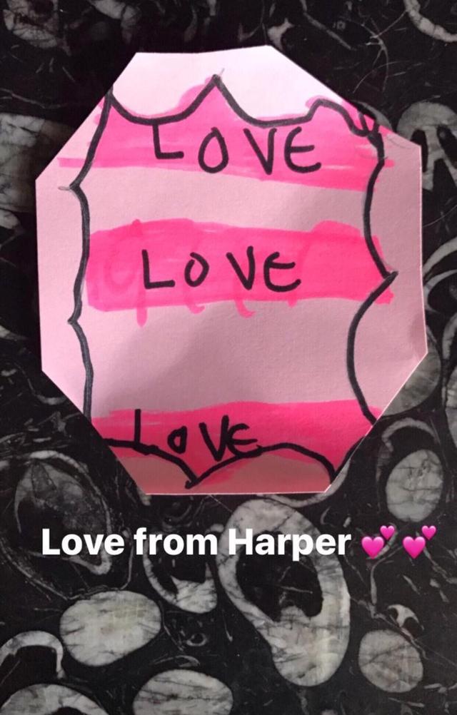 贝嫂和小七维多利亚,维多利亚贝嫂与小七