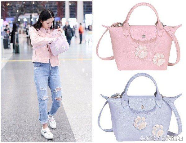 Gucci、LV、小CK狗年汪星人大集合！快把时尚汪们带回家