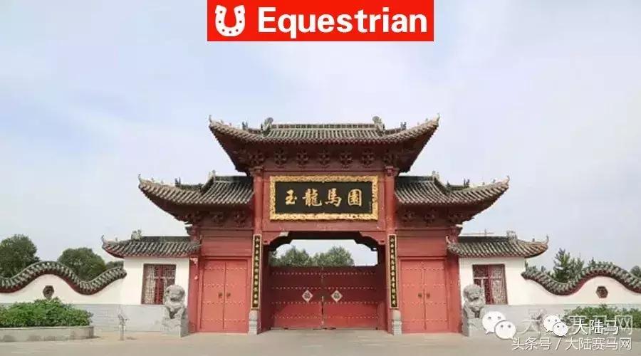 马术专业队中国马术队,中国队夺马术三项赛个人团体金牌