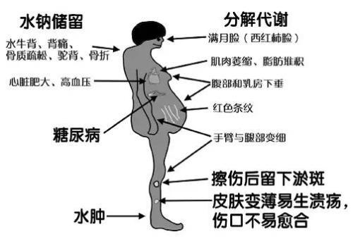 糖皮质激素的抗炎作用机制图解,糖皮质激素可以抗休克吗