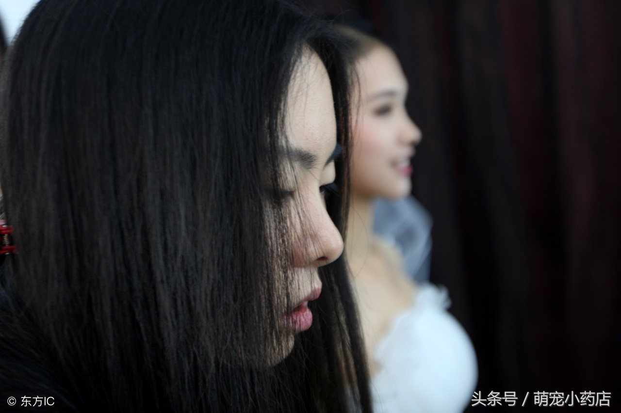 哈士奇和泰迪谁厉害,这是狗被黑得最惨的一次