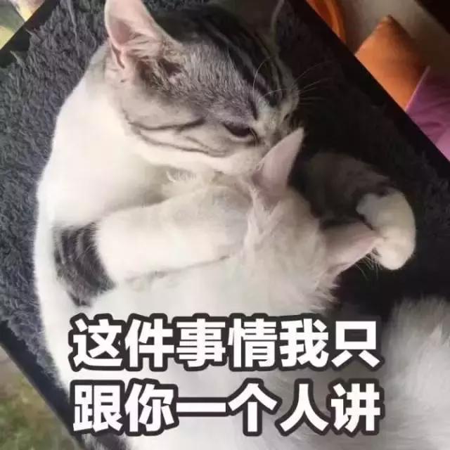 限量的nike球鞋,限量球鞋nike