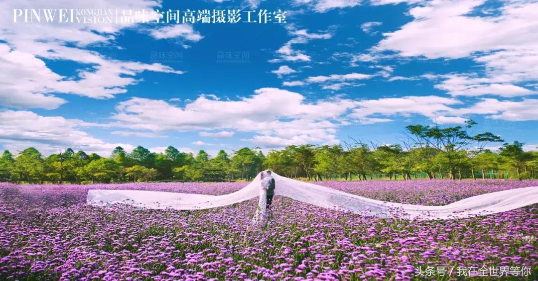 怀孕拍婚纱照关注事项,怀孕拍婚纱照需要准备哪些用品