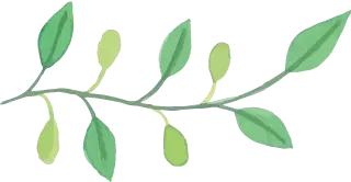 以球会友感受青山绿水红钢城别样精彩