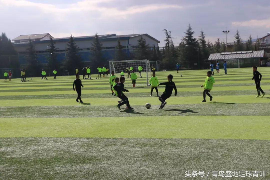 青鸟盛地足球比赛,青鸟盛地足球活动