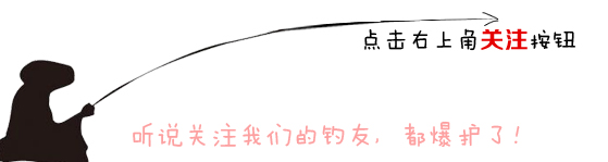黑坑路亚日记,钓友记视频全集