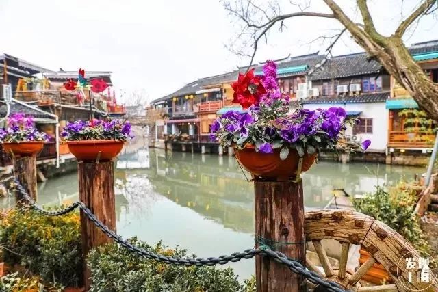 上海17号线朱家角到古镇,上海17号线东方绿舟