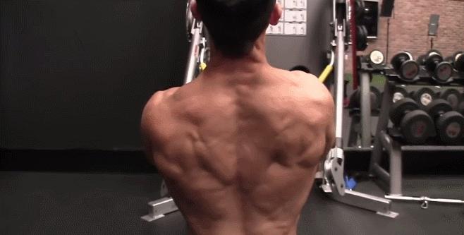 中下斜方肌练背动作,练背练肩膀怎么避免斜方肌发力