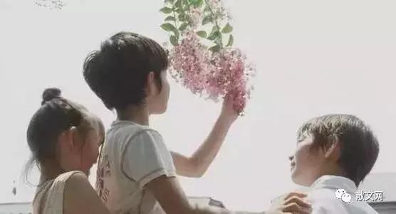 精选散文,散文匆匆的意境