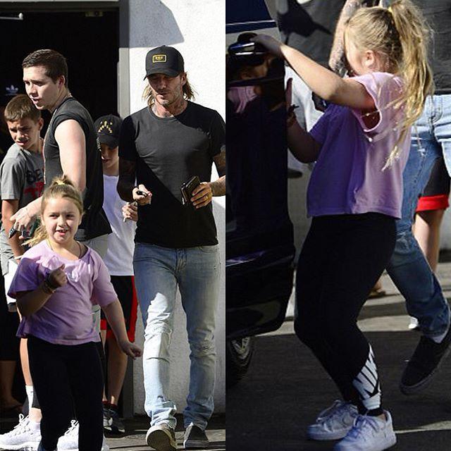 贝嫂和小七维多利亚,维多利亚贝嫂与小七