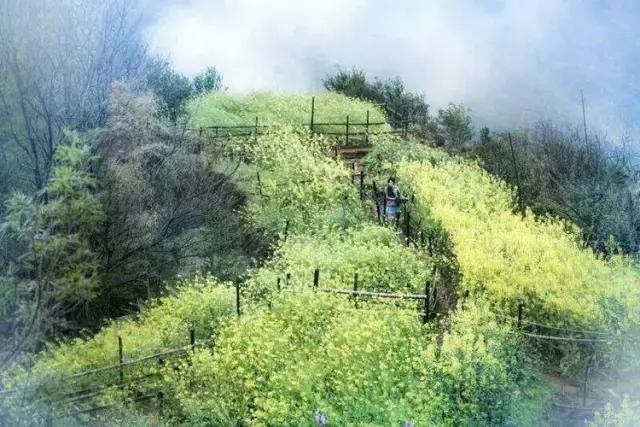 国内风景最好的旅游景点冬天,国内各地最美的十大自驾游线路