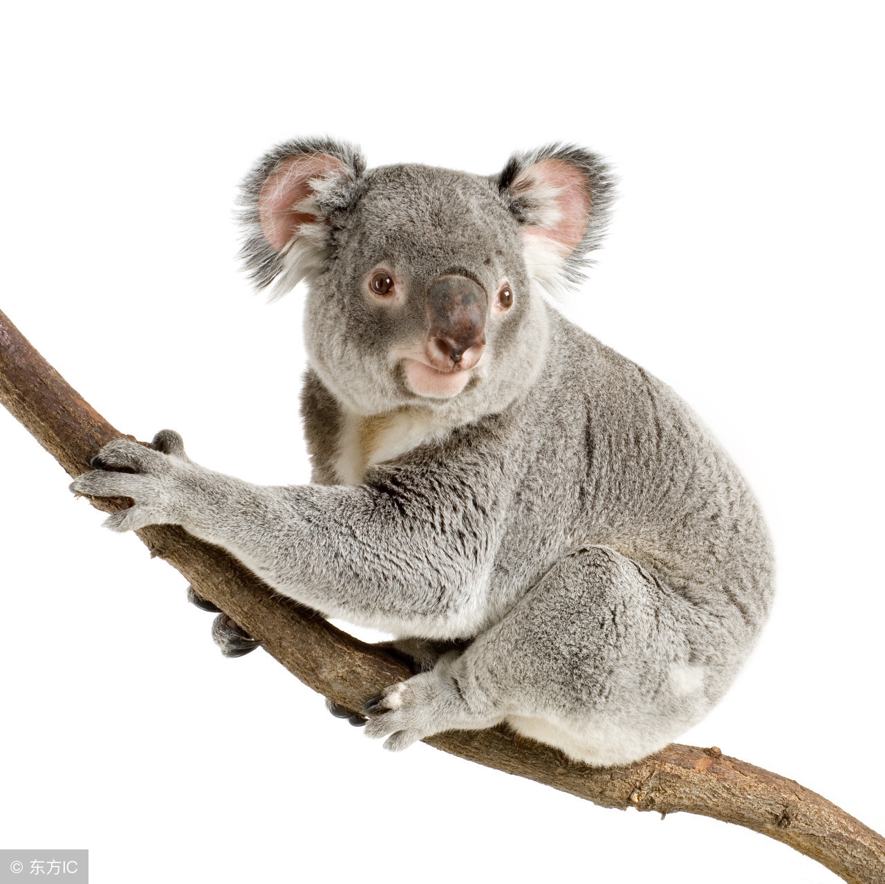 知识点清单一点通,anumberof和thenumberof用法