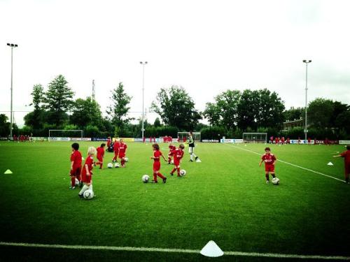 中国足校培养球员,国内四大青训足校