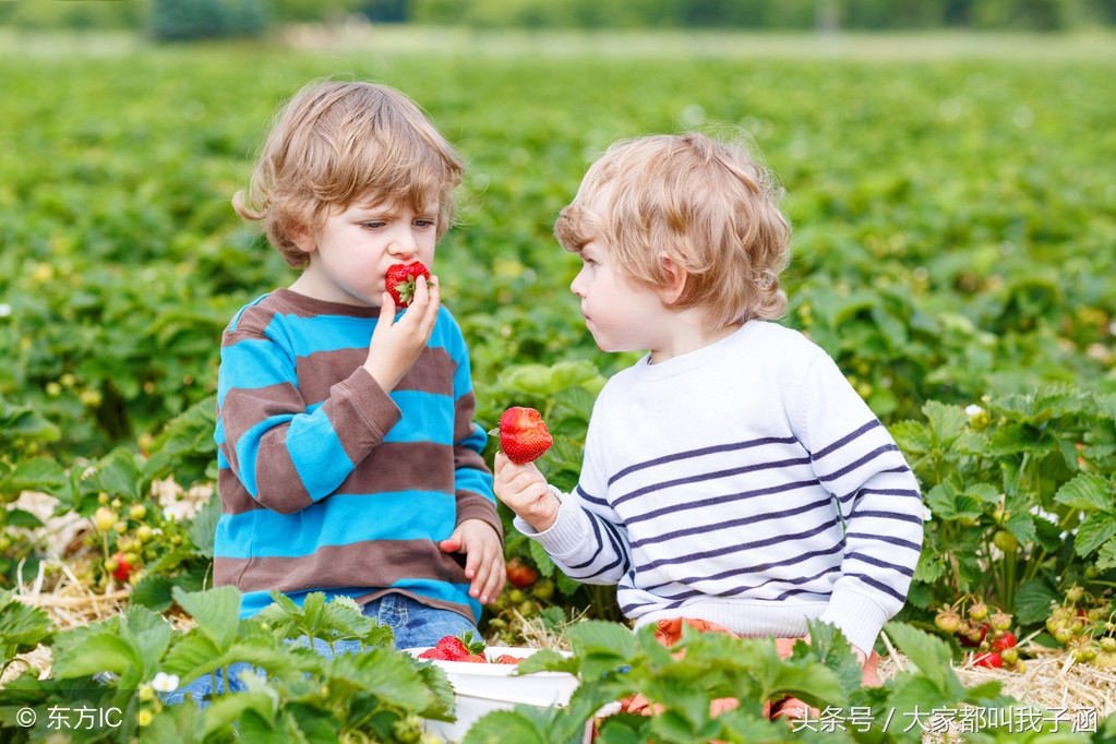 三岁宝宝不愿分享正常吗,6岁宝宝不愿分享如何正确引导