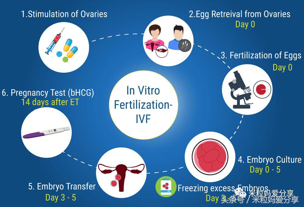 谢娜生双胞胎｜一次生俩的幸运，是天生的还是人工的？