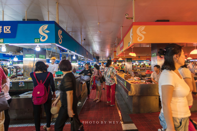 面面旅拍—诉不完千古泪，道不停三亚情，这个冬天我们掌心有太阳