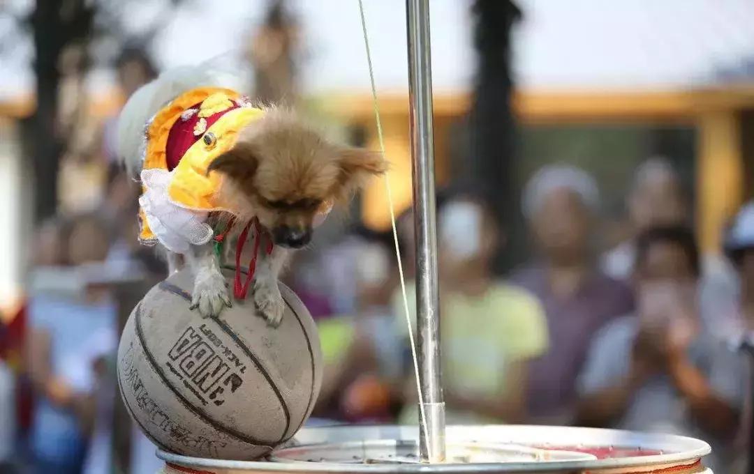 婀栧崡娴忛槼瀹樻浮搴欎細,娴忛槼瀹樻浮瑙傞煶搴欎細