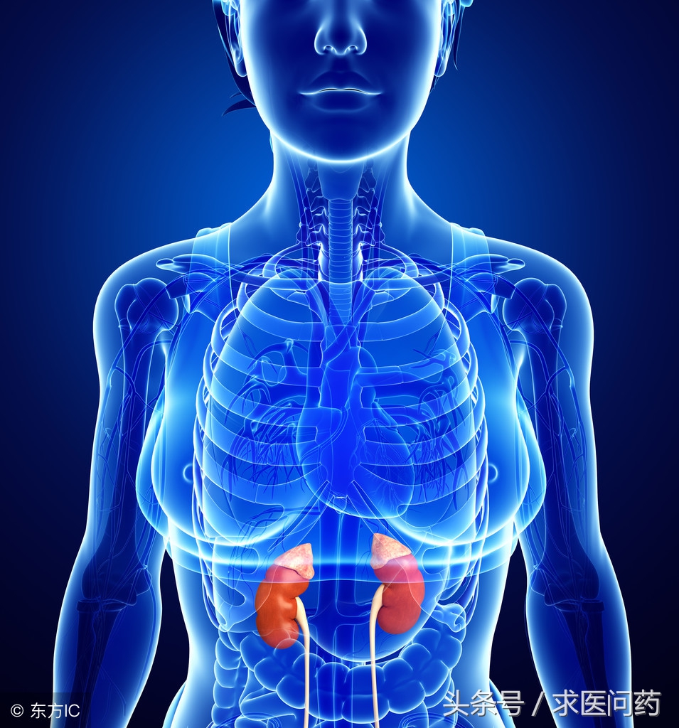 认识中医的气虚和血虚