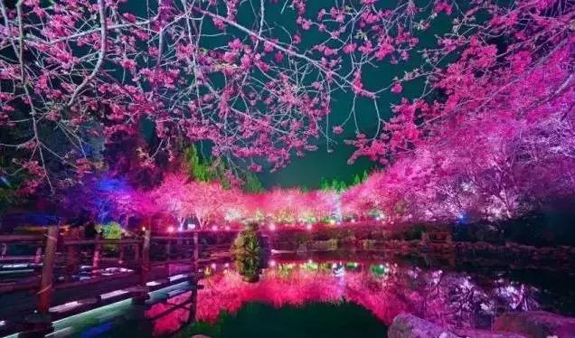 国内风景最好的旅游景点冬天,国内各地最美的十大自驾游线路