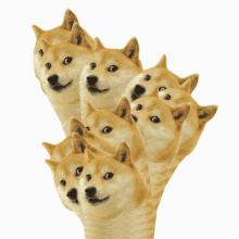 新衣新鞋过狗年——那些必入的狗年限定！