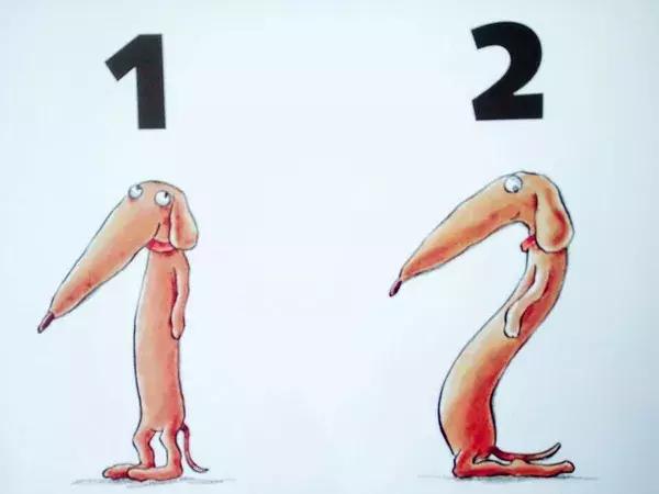 狗年一定要给孩子看的8本书，让那温暖的小狗故事陪孩子过年吧！