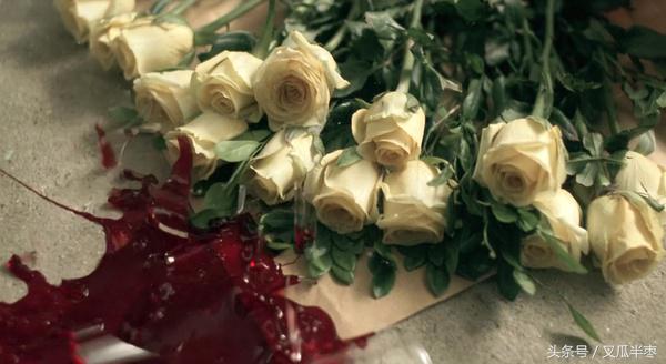 得到都是侥幸失去才是人生歌词,得到的都是侥幸歌词