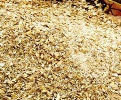 有一种既便宜又好吸收的钙片,十种天然钙片排名