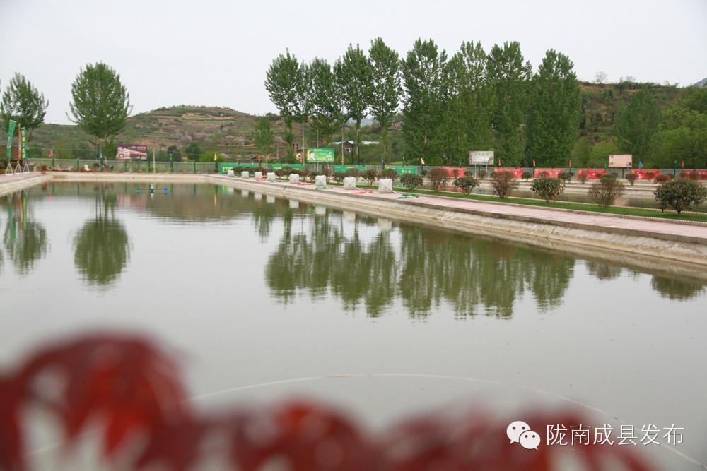 要闻丨何光弟等领导在成县调研工作