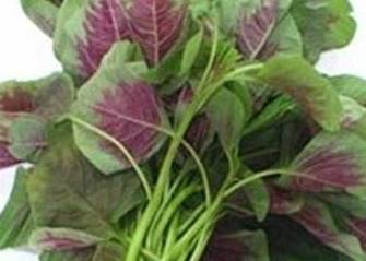 有一种既便宜又好吸收的钙片,十种天然钙片排名