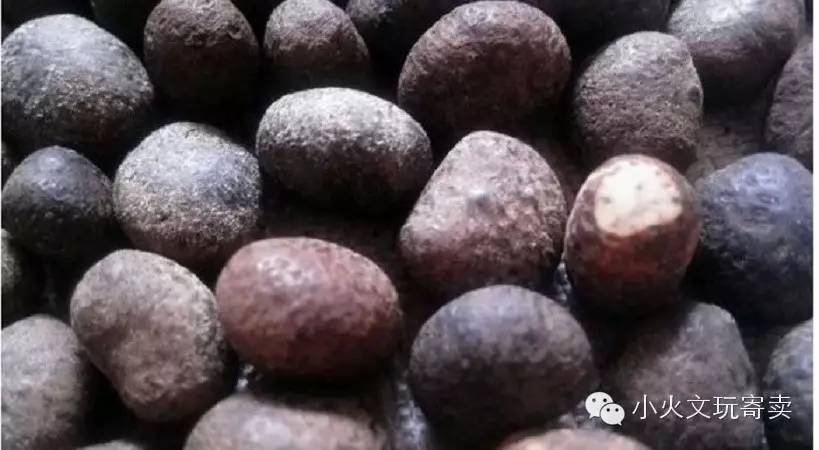 你真的了解星月菩提吗,实话实说文玩怎么样