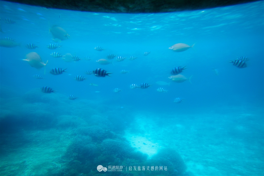 魅力宫古蓝，南行宫古岛之旅