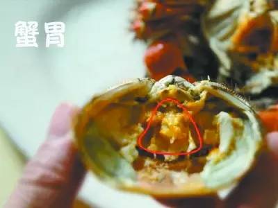 爱吃海鲜的人要关注什么,爱吃海鲜的人怎么避免痛风