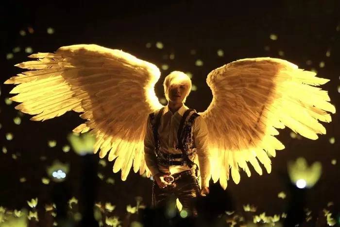 维纳斯金牛座,金牛座和维纳斯