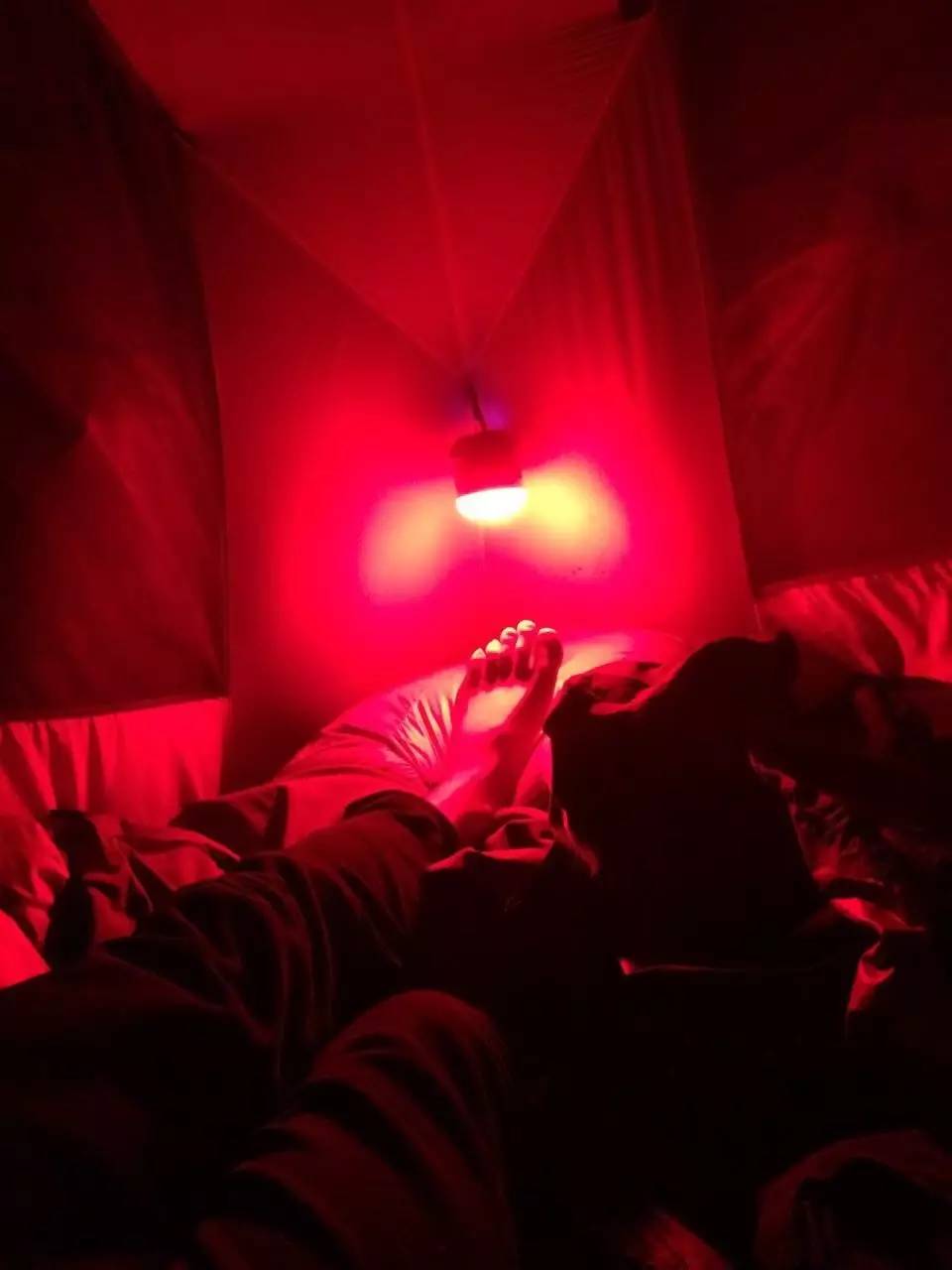 为什么山友们叫它神灯？